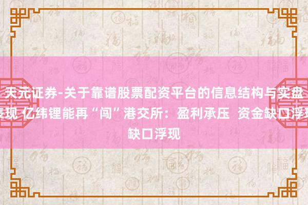 天元证券-关于靠谱股票配资平台的信息结构与实盘表现 亿纬锂能再“闯”港交所：盈利承压  资金缺口浮现
